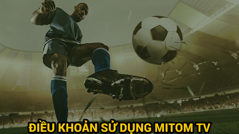 điều khoản sử dụng