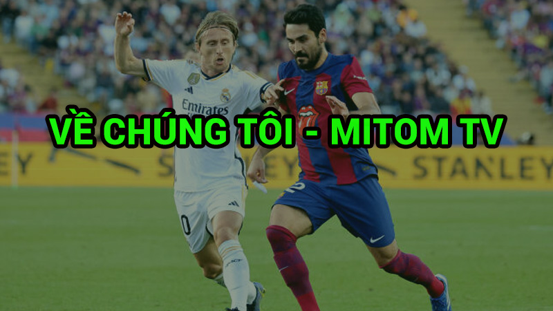 về chúng tôi