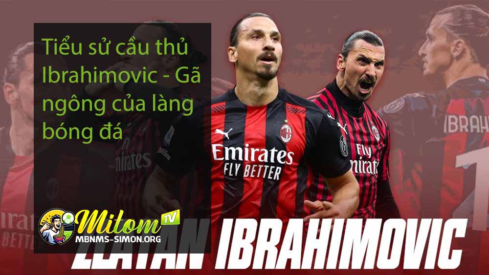 Tiểu sử cầu thủ Ibrahimovic - Gã ngông của làng bóng đá